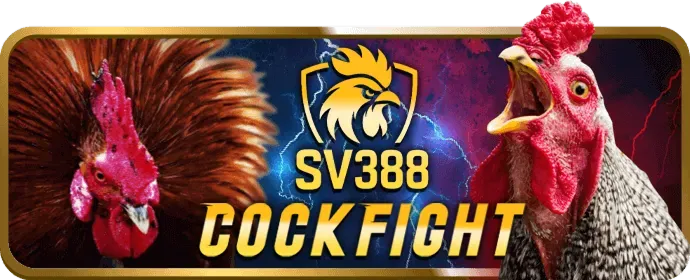 Chọn game slot tại nova88 chính thức